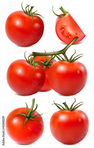 Vector: Vector collection of red ripe tomatoes with water drops. Vector collection of red ripe tomatoes with water drops.
