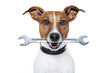 craftsman dog