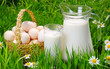 Jug and glass of milk with eggs, grass and daisies