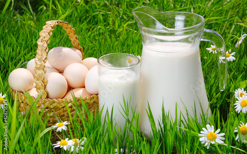 Foto: Jug and glass of milk with eggs, grass and daisies Jug and glass of milk with eggs, grass and daisies
