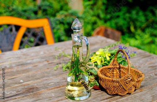 Foto: Kräuter im Garten Kräuter im Garten