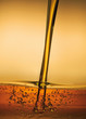 lubricant