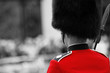 Queen's soldier at Trooping the color, 2012