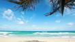 Tropical beach