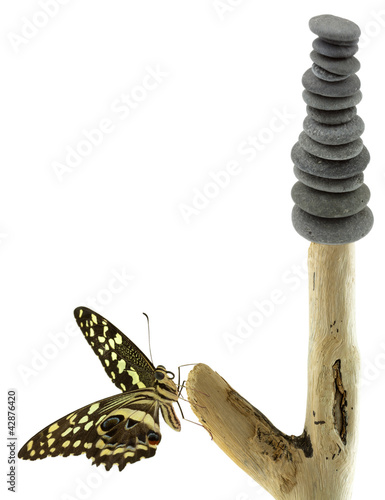 Photo: empilement de galets et papillon sur bois flotté empilement de galets et papillon sur bois flotté