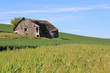 Dilapidated Farm House