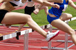 hurdle race