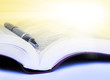 Bible
