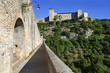 La Rocca vista dal Ponte delle Torri, Spoleto, Umbria
