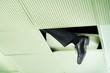 Escaping Business Man
