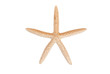 Photo: Star fish isolated. Star fish isolated.