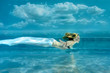 Foto: Skydiving Skydiving
