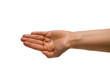 Foto: Wenige Reiskörner in einer Hand Wenige Reiskörner in einer Hand