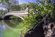 Photo: Central Park bow bridge Central Park bow bridge