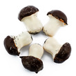 chocolate mushrooms