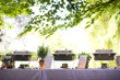 wedding catering