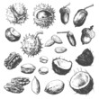Nut collection
