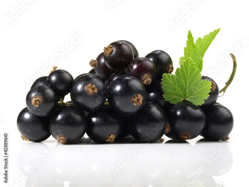 Photo: Schwarze Johannisbeeren Schwarze Johannisbeeren