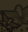 Vector: Military eagle background Military eagle background