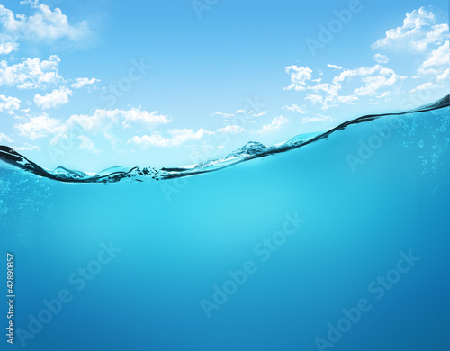 Photo: underwater scene underwater scene