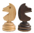two chess horse