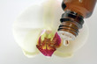 orchidee mit tropfen