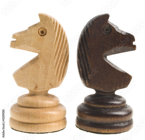 Foto: two chess horse two chess horse