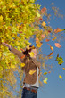 Foto: Herbstlaub Herbstlaub