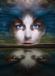 mystic face