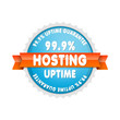 Hosting 99.9% Uptime