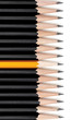 Yellow Pencil Standing Out