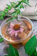 Photo: Herbal Tea Herbal Tea