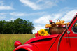 French car with bread and wine