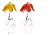 Young withered red oak, autumnal concept