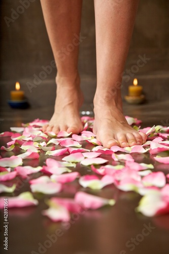 Photo: walking on pink petals walking on pink petals