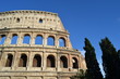 Vista del Coliseo.