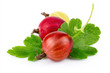Two red gooseberries with green leaves isolated