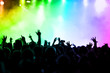 cheering crowd in front of colorful stage lights