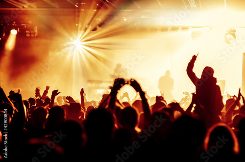 cheering crowd at concert