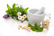Foto: Alternative medicine Alternative medicine