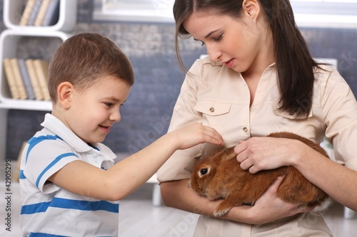 Foto: Little boy caressing pet rabbit handheld by mum Little boy caressing pet rabbit handheld by mum