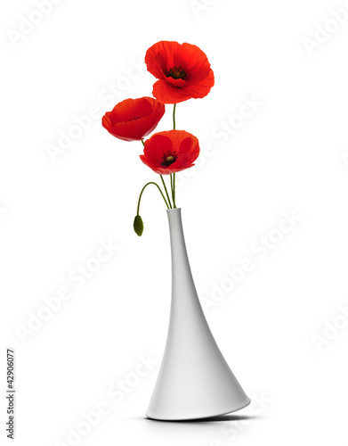 Photo: vase with three red poppies over white background vase with three red poppies over white background