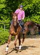 Photo: Galopp Galopp