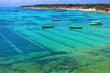 Nusa lembongan seaweed farming