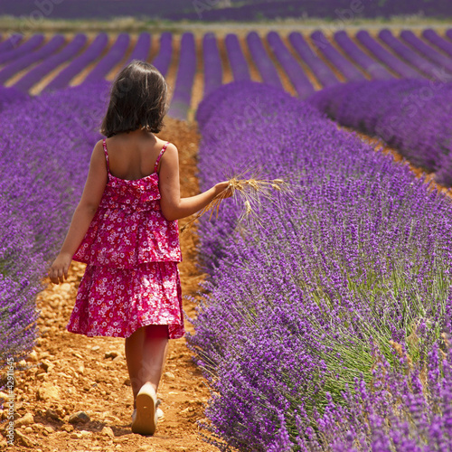 Photo: Provence - Enfant dans les champs de lavandes Provence - Enfant dans les champs de lavandes