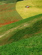 rural landscape