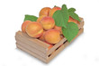 abricots bio