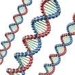 Illustration: DNA DNA