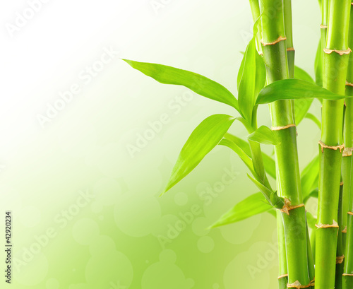 Photo: Bamboo background with copy space Bamboo background with copy space