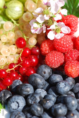 Photo: Variety of organically grown berries Variety of organically grown berries